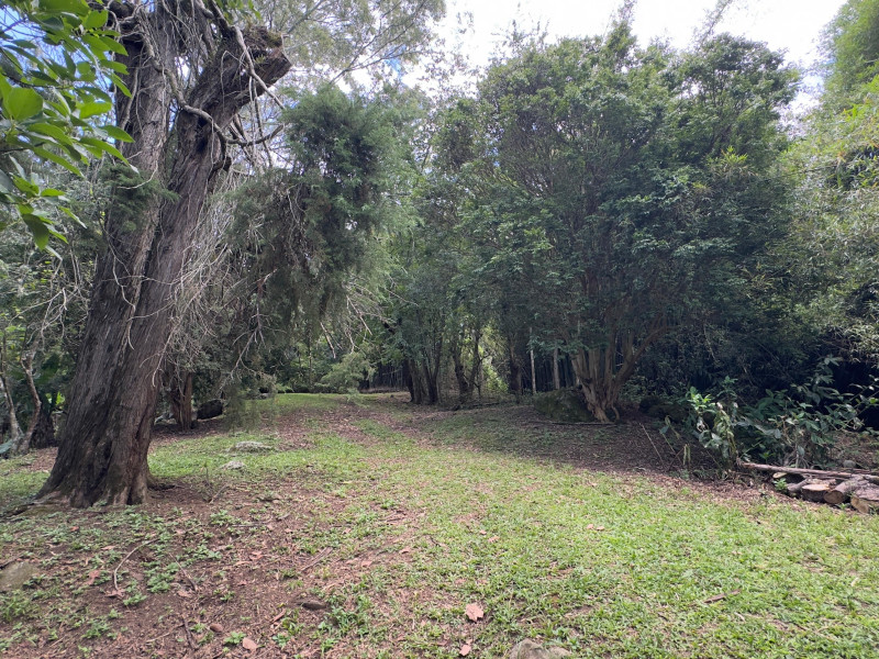 Sítio à venda Vieira com 120000m² e 5 quartos por R$ 1.100.000 - vista-aerea077.jpeg