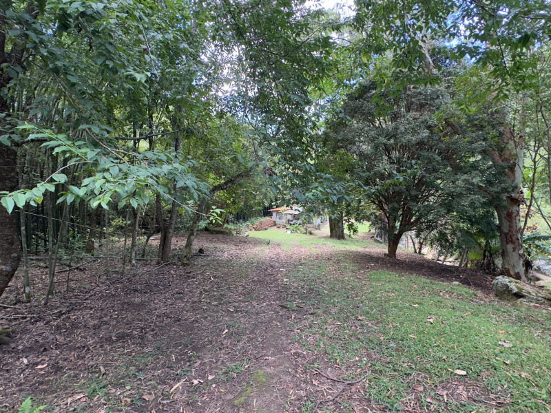 Sítio à venda Vieira com 120000m² e 5 quartos por R$ 1.100.000 - vista-aerea081.jpeg