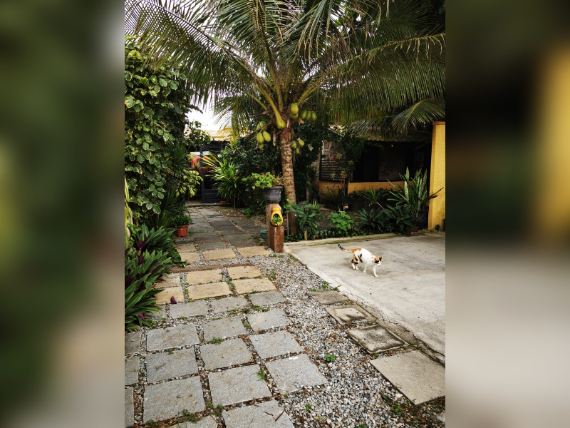 imóvel com 700m² - Samburá (Tamoios) - Cabo Frio