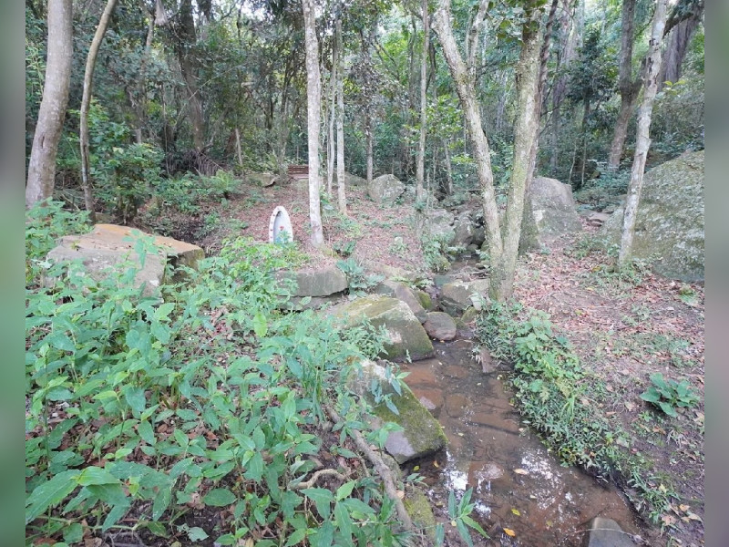 Casa à venda São João do Rio Vermelho com 993m² e 4 quartos por R$ 2.000.000 - img-7590.jpeg