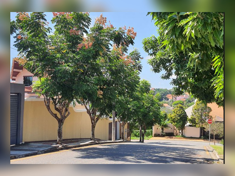 Casa à venda Jardim Eltonville com 589m² e 5 quartos por R$ 2.490.000 - rua-arborizada.JPG