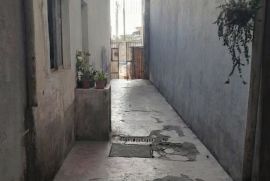 09550de2-5f9c-44af-bec9-43f389dac24d.jpeg