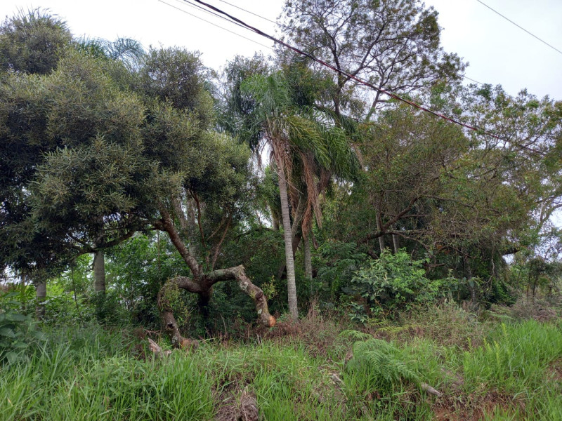 imóvel com 1247m² - Chácara Tropical (Caucaia do Alto) - Cotia