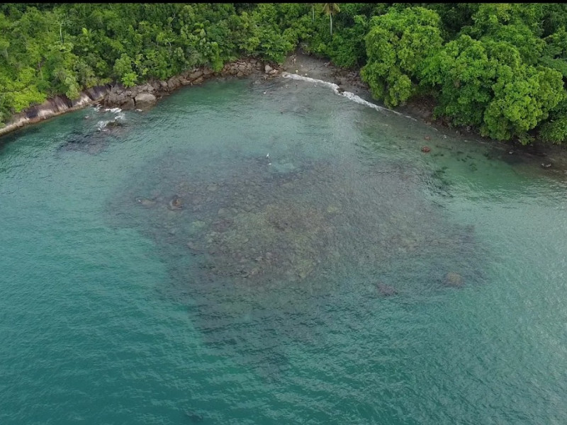 imóvel com 776m² - Praia da Fortaleza - Ubatuba