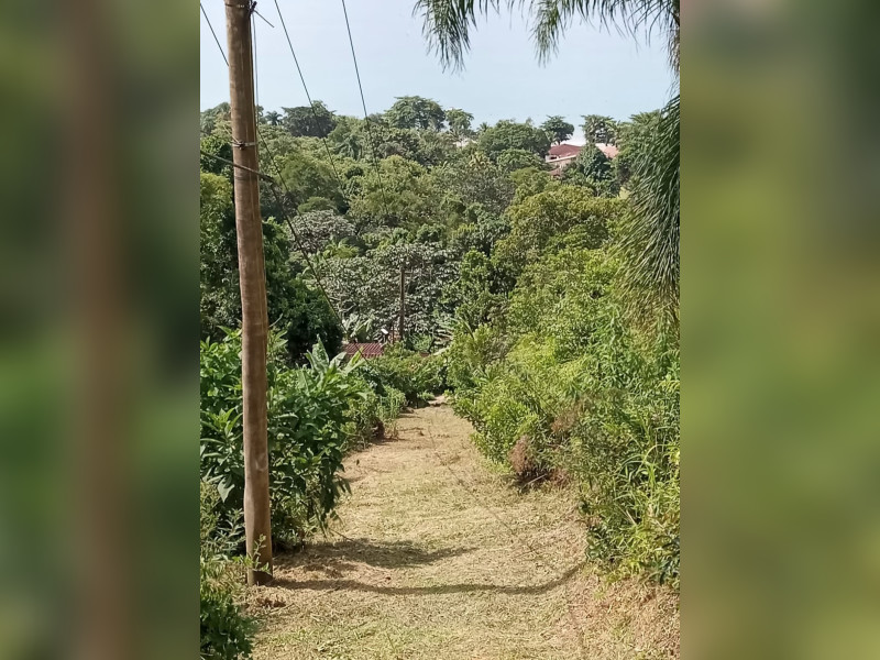 imóvel com 776m² - Praia da Fortaleza - Ubatuba