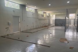 area-principal-galpao.jpeg
