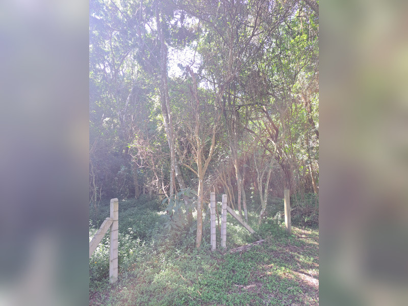 Terreno à venda Campeche com 658m² e 0 quartos por R$ 780.000 - 1000776560.jpg