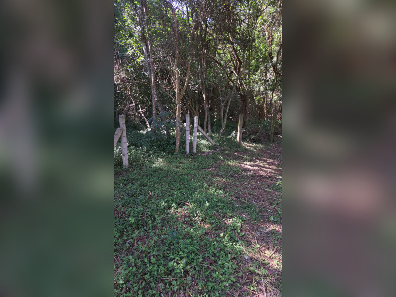 Terreno à venda Campeche com 658m² e 0 quartos por R$ 780.000 - 1000776564.jpg