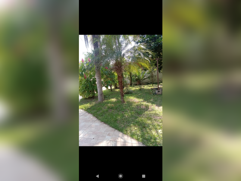 Casa à venda Engenho do Mato com 450m² e 2 quartos por R$ 460.000 - inbound8384918962218379571.png