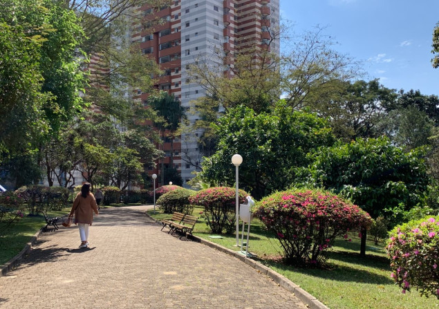 imagem