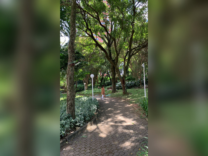 Cobertura à venda Morumbi com 343m² e 4 quartos por R$ 3.250.000 - img-5564.jpeg