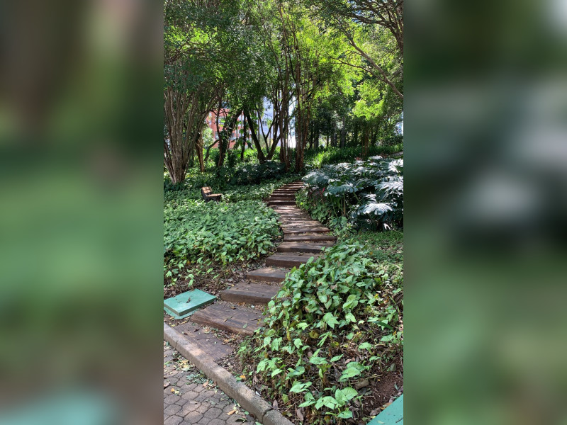 Cobertura à venda Morumbi com 343m² e 4 quartos por R$ 3.250.000 - img-5566.jpeg