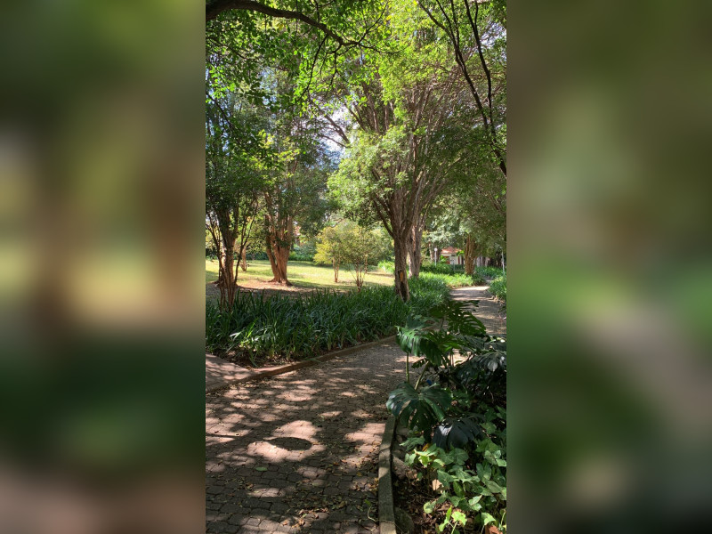Cobertura à venda Morumbi com 343m² e 4 quartos por R$ 3.250.000 - img-5570.jpeg