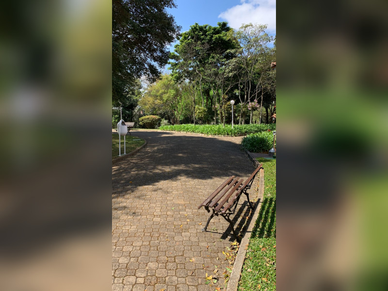 Cobertura à venda Morumbi com 343m² e 4 quartos por R$ 3.250.000 - img-5582.jpeg