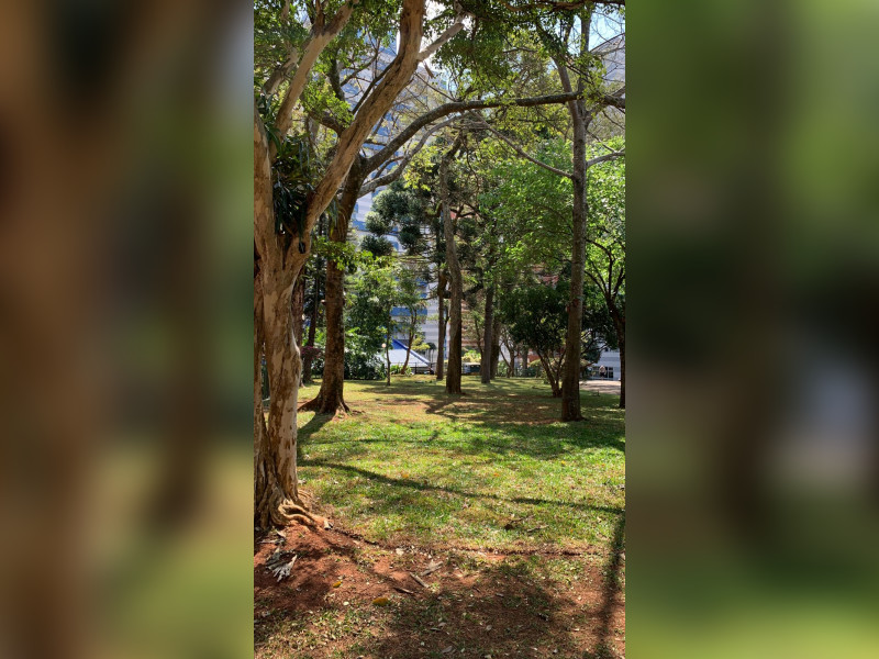 Cobertura à venda Morumbi com 343m² e 4 quartos por R$ 3.250.000 - img-5583.jpeg