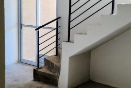 1000729207.jpg