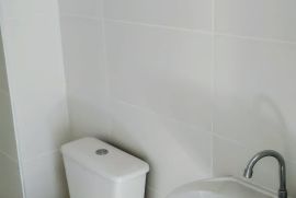 1000729210.jpg