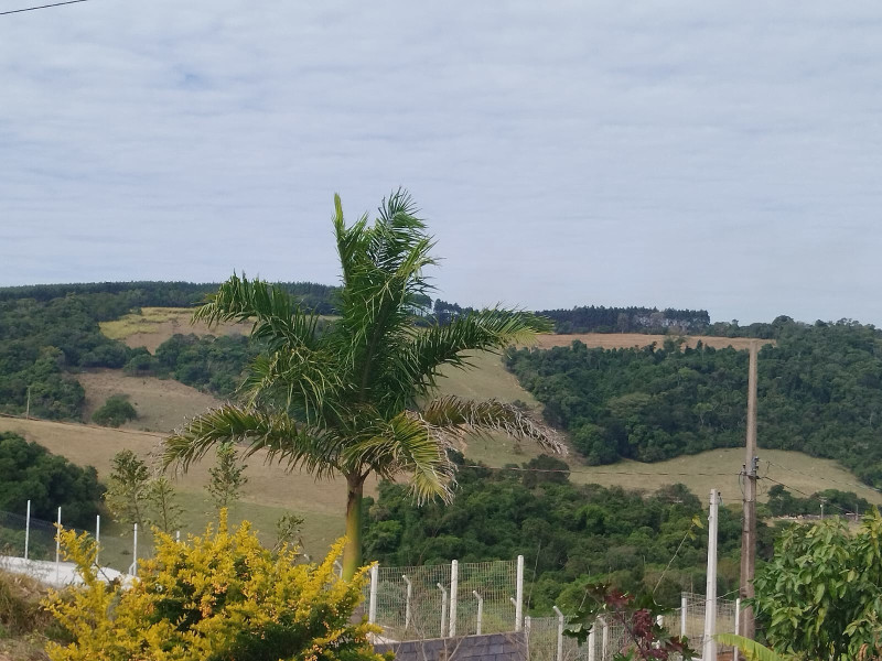 imóvel com 1340m² - Centro - Piedade