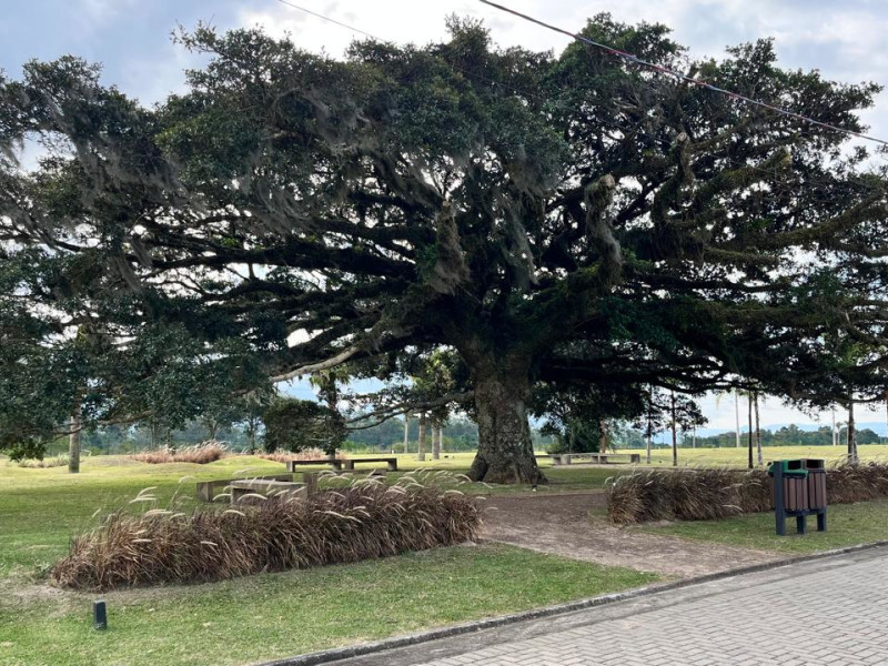 imóvel com 346m² - Centro - Osorio
