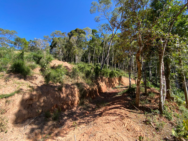 imóvel com 4200m² - Carlos Guinle - Teresópolis