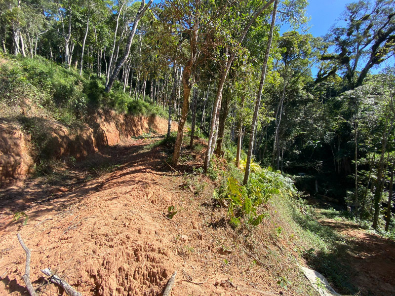 imóvel com 4200m² - Carlos Guinle - Teresópolis