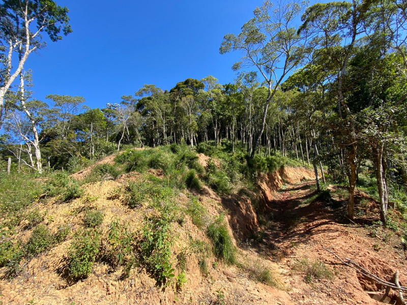 imóvel com 4200m² - Carlos Guinle - Teresópolis