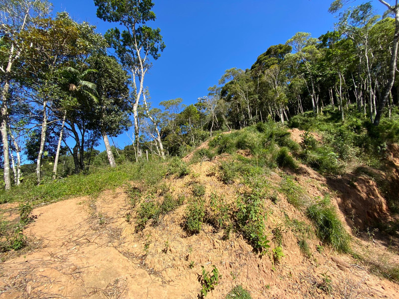 imóvel com 4200m² - Carlos Guinle - Teresópolis