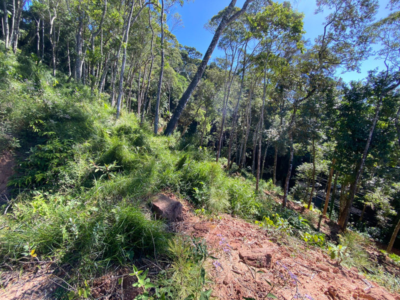 imóvel com 4200m² - Carlos Guinle - Teresópolis