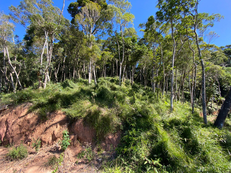 imóvel com 4200m² - Carlos Guinle - Teresópolis