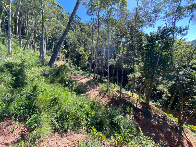 imóvel com 4200m² - Carlos Guinle - Teresópolis