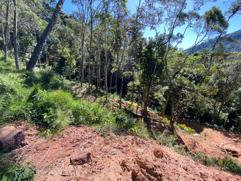 imóvel com 4200m² - Carlos Guinle - Teresópolis
