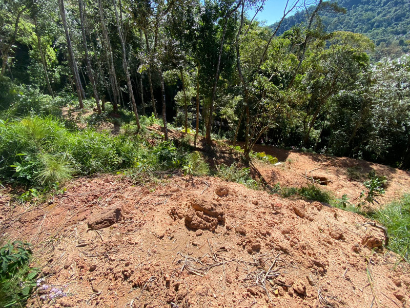 imóvel com 4200m² - Carlos Guinle - Teresópolis