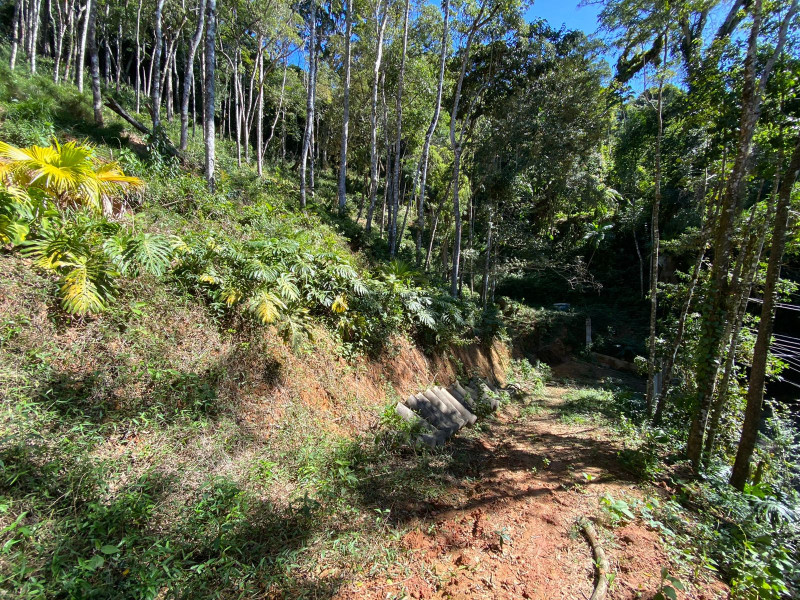imóvel com 4200m² - Carlos Guinle - Teresópolis