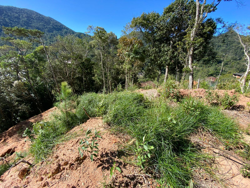 imóvel com 4200m² - Carlos Guinle - Teresópolis