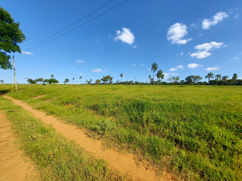 imóvel com 149000m² - Área Rural de Iacanga - Iacanga