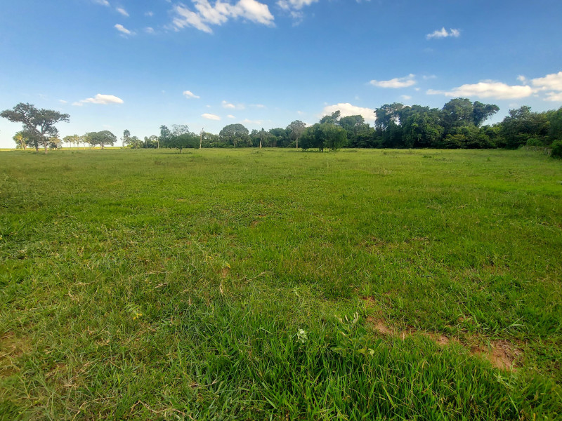imóvel com 149000m² - Área Rural de Iacanga - Iacanga