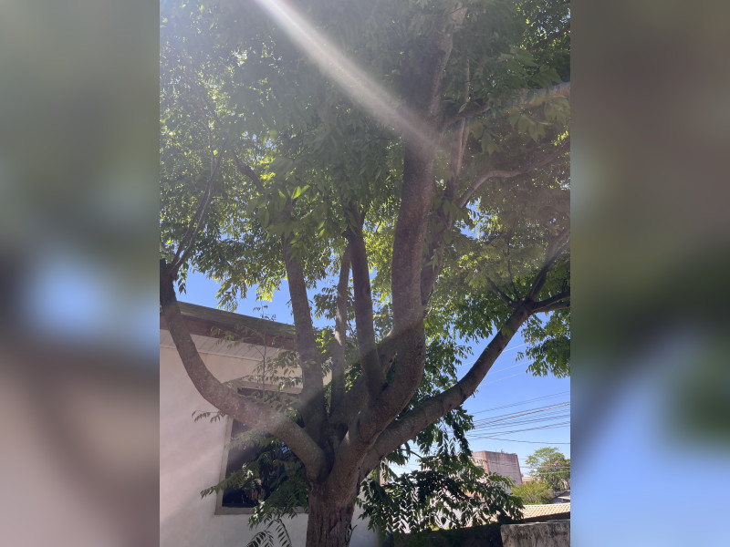 imóvel com 88m² - Cachoeira - Araucaria