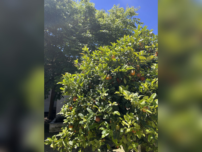 imóvel com 88m² - Cachoeira - Araucaria