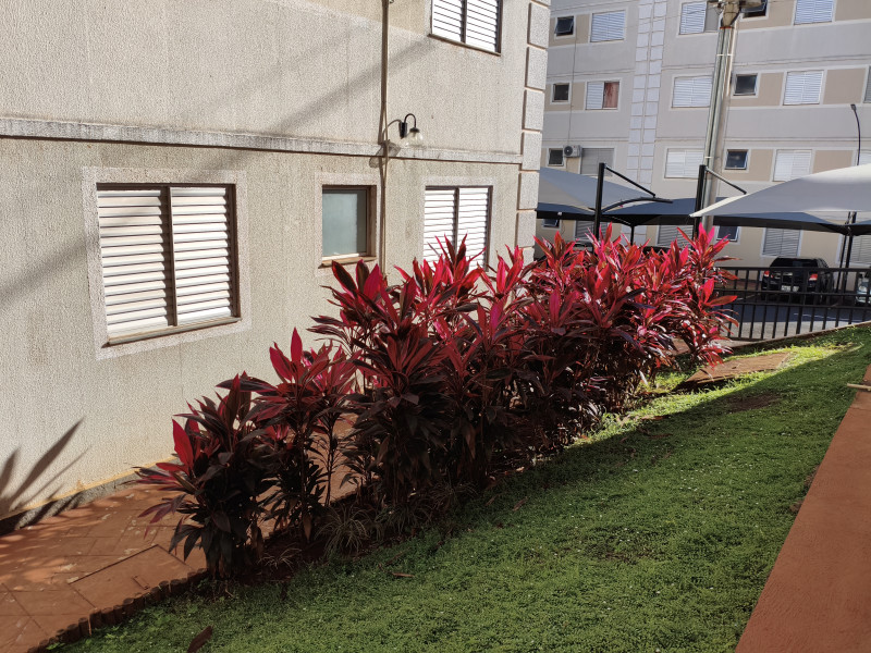 imóvel com 44m² - Solidariedade - Araraquara