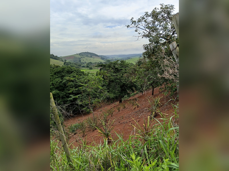 imóvel com 720m² - Centro - Marlieria