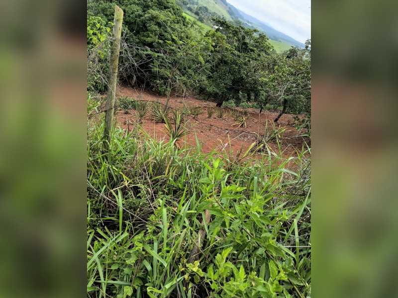 imóvel com 720m² - Centro - Marlieria