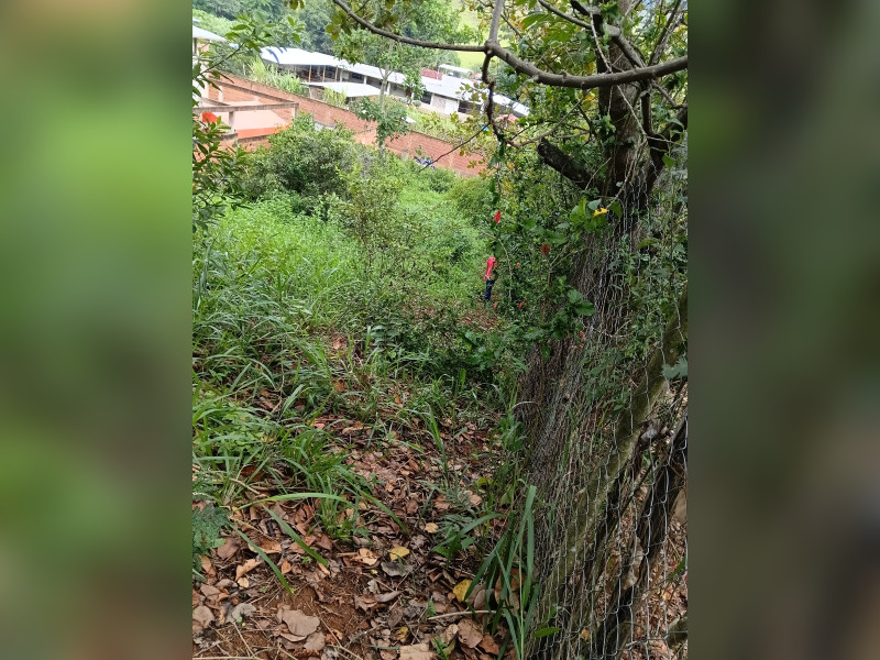 imóvel com 720m² - Centro - Marlieria