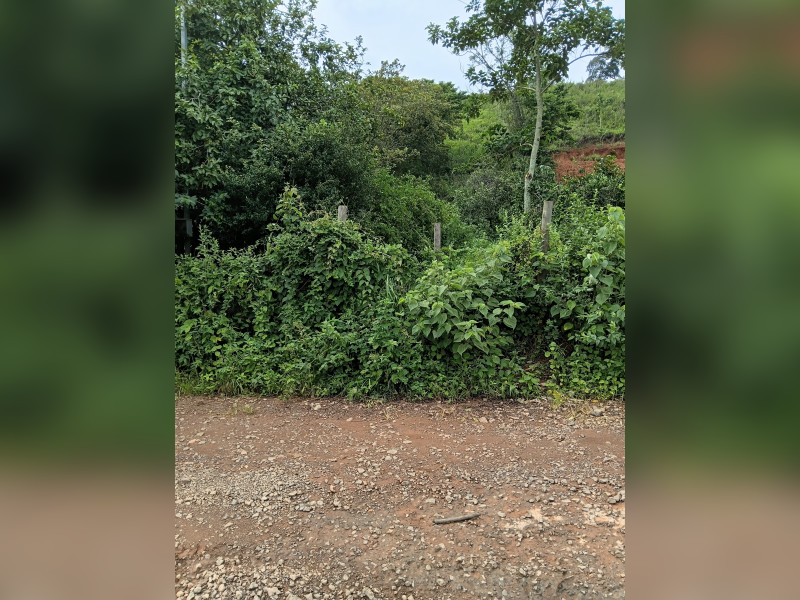 imóvel com 720m² - Centro - Marlieria