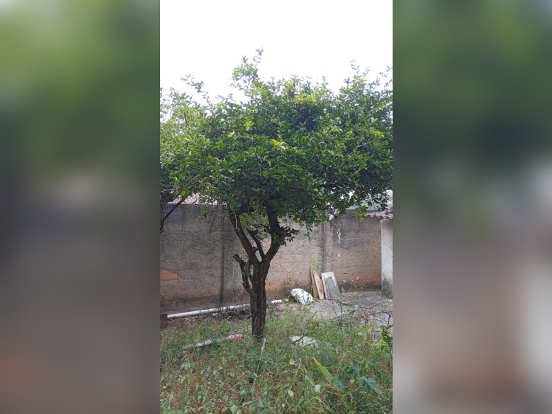 imóvel com 360m² - Nossa Senhora de Fatima - Sabara