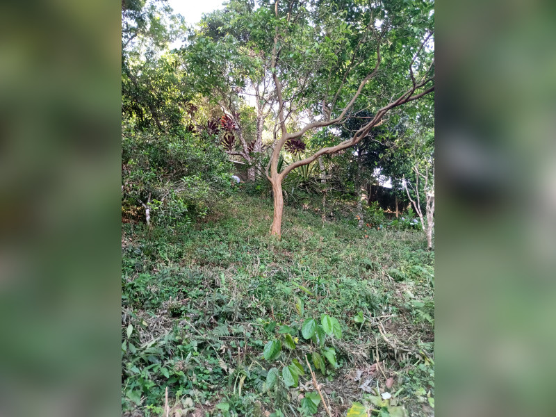 imóvel com 200m² - Jardim Europa - Teresópolis