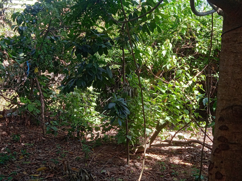 imóvel com 231m² - Nova Carapina I - Serra