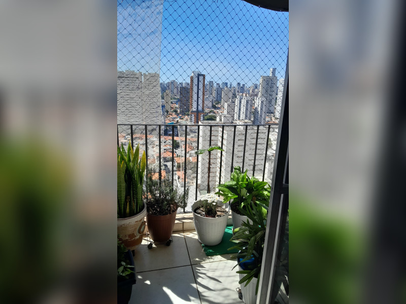 imóvel com 156m² - Belenzinho - São Paulo