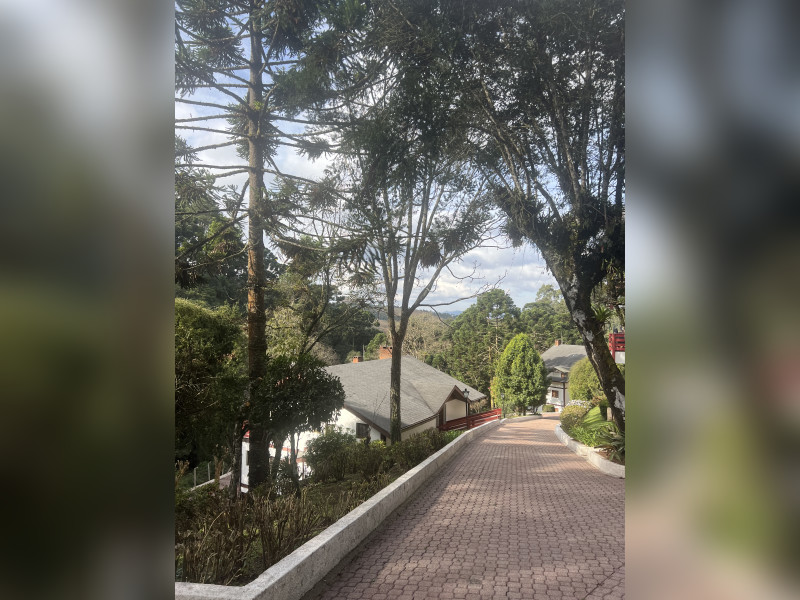 imóvel com 175m² - Vila Floresta - Campos do Jordão