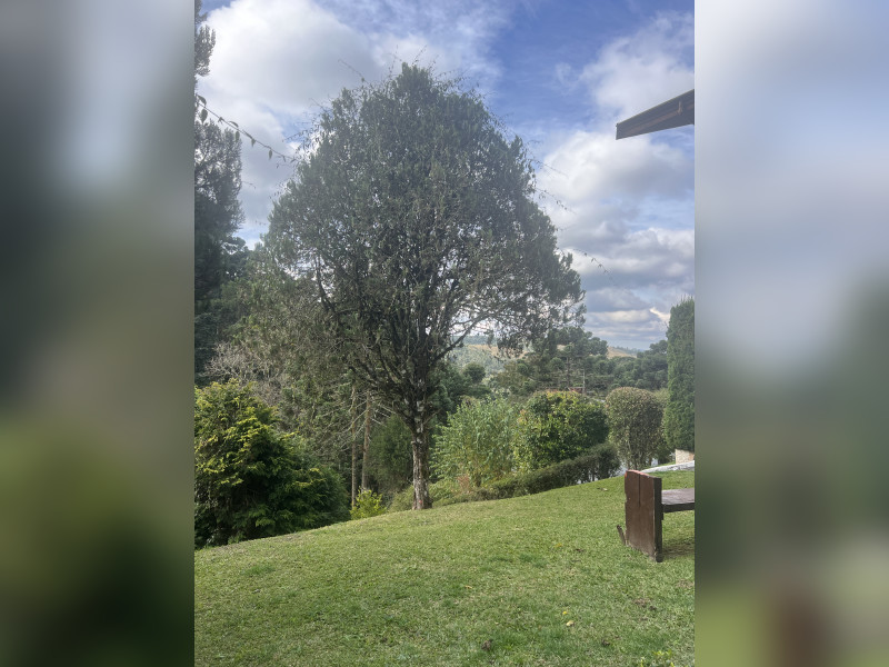 imóvel com 175m² - Vila Floresta - Campos do Jordão