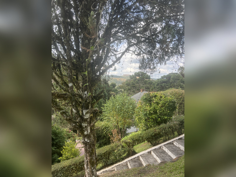 imóvel com 175m² - Vila Floresta - Campos do Jordão